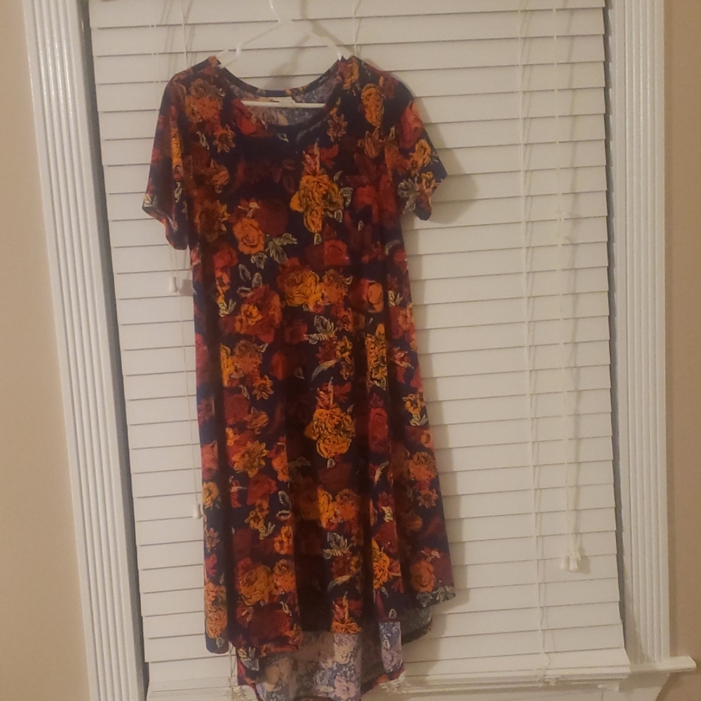 Lularoe dress
